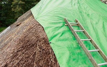 maintaining Tanwood thatch