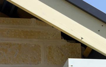 soffit repair Tanwood